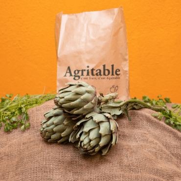 Artichaut Blanc (Botte)