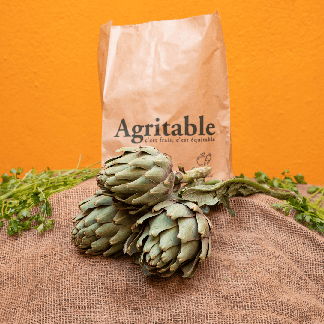 Artichaut Blanc (Botte)