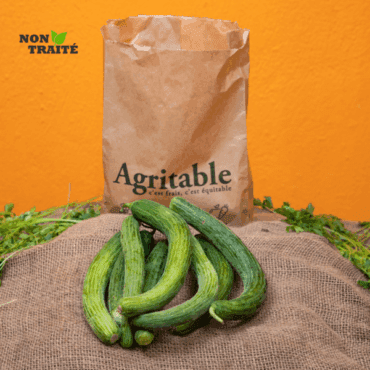 Concombre Non-Traitée (500G)