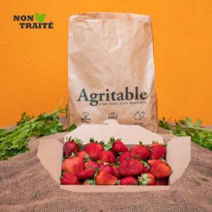 Fraise Non traitee