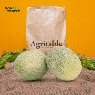 Melon AFAMIA Non-traitée (Piece)