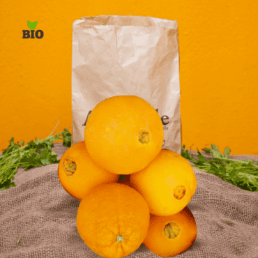 Orange Thomson Bio