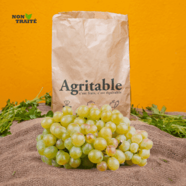 Raisin Sans Pépin Non-traitée