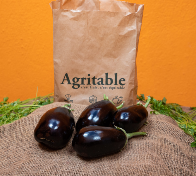 aubergine tunsiie