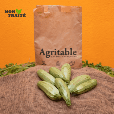 Courgette Non-Traitée (500 gr.)