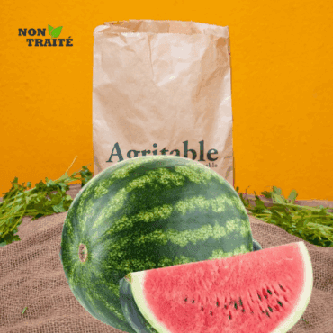Pastèque Verte Non-traitée (Piece entre 8 et 9 kg)
