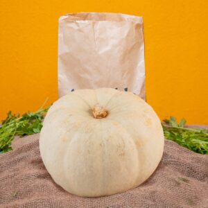 Courge / Potimarron