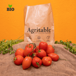 Tomate Bio