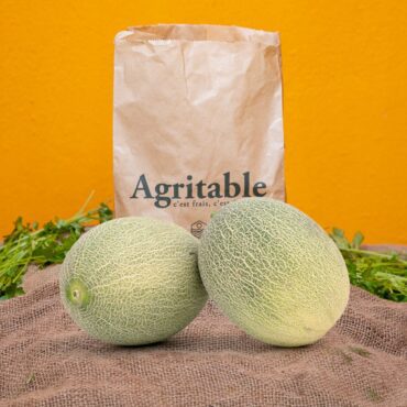 Melon Afamia