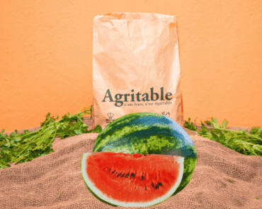 Pastèque Verte Non-traitée (Piece)