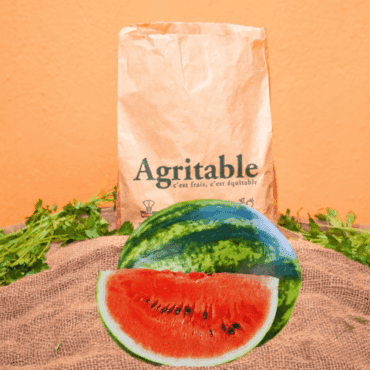 Pastèque Verte Non-traitée (Piece)