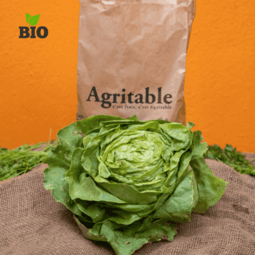 Salade Laitue Bio ( Piéce)