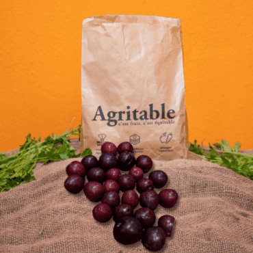Petite Prune Rouges Non-traitée