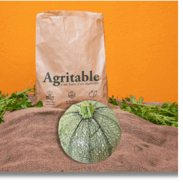 Courgettes ronde pièces (500g)