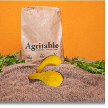 Courges cou tord non traité (500g)