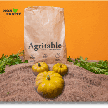 Courges Jack be littlenon traité (500g)