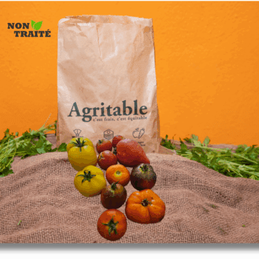 Mix de tomates diverses non traité (500g)