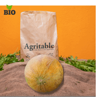 Petit Melon Afamia bio (piece)